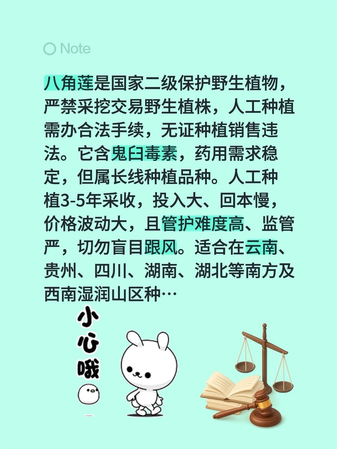 种植药材八角莲有没有前景？我评论了@天宝农业技术服务的作品：八角莲是国家二级