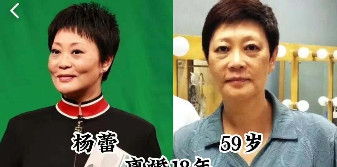 离婚后不嫁人的16位女星，各有各单身的理由，看看都有谁第1位:杨蕾第2位:殷