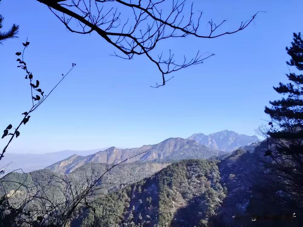 自己带大的娃，哪是旁人能说三道四的？别说外人了，就连老公多嘴一句，我都忍不住想炸