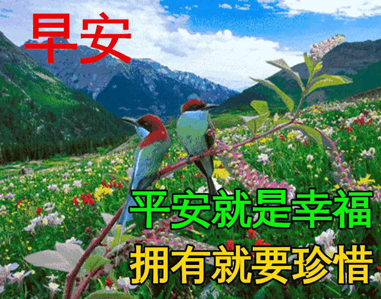 早上好，愿大家平安喜乐，吉祥如意