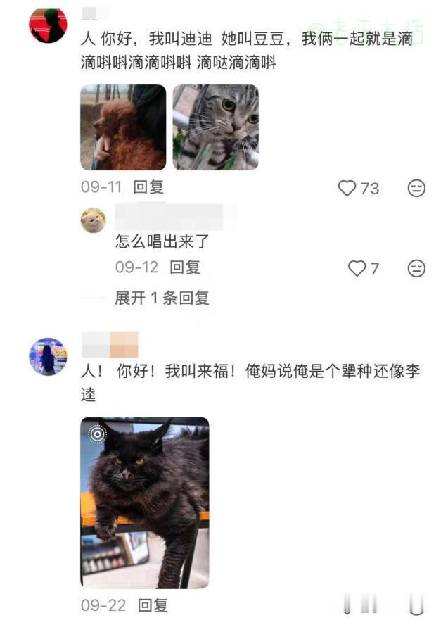 铲屎官给宠物取个脑洞大开的名belike……