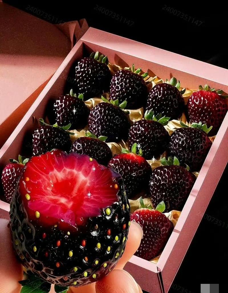 车厘子刚降价，黑草莓就卖300元一斤？10元和300元草莓差在哪？家人们谁