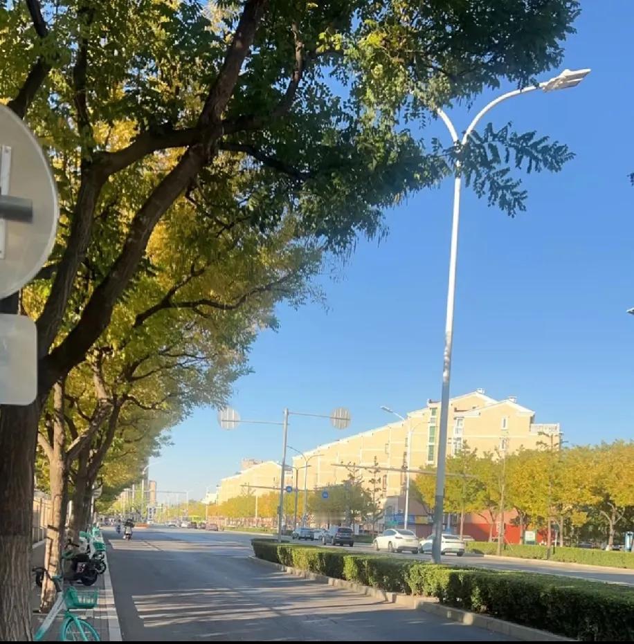 从山西小镇考到北京985本硕，进体制落了户，单位还分了人才公寓工作稳、同事好，连