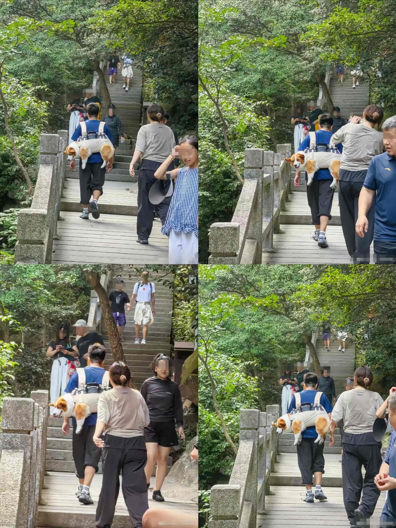 笑不活了！庐山台阶上的“显眼包”：小伙背狗子登山，评论区吵翻了刷到庐山三叠泉