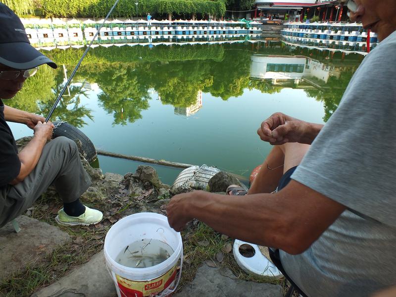 差点被老公气死，他今天钓到了一条草鱼，大概四、五斤重，给我发视频，笑声震动山野，