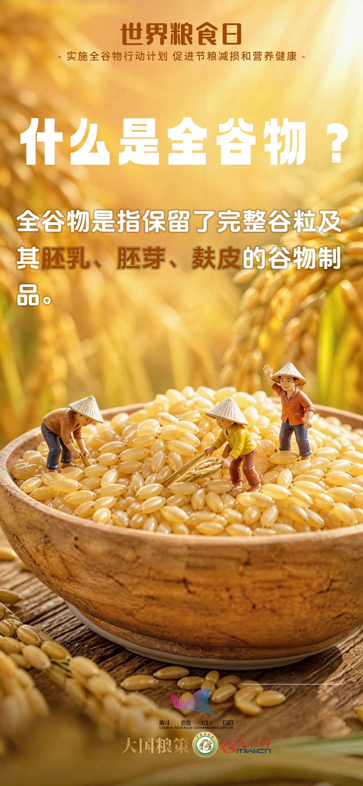 科普海报|别只吃精米白面! 全谷物了解一下