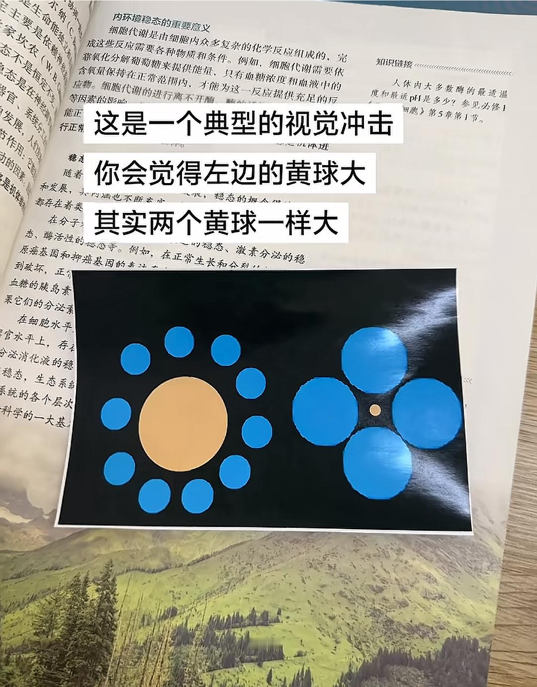 这是典型的智力冲击啊​​​