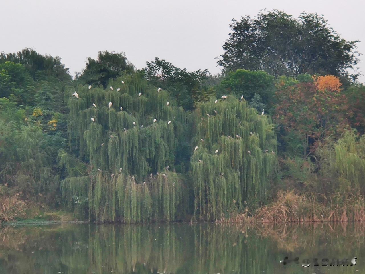 如果遇到了这样的上下楼邻居，也算是倒了八辈子霉了:昨天上午出去和几位熟人在楼下空