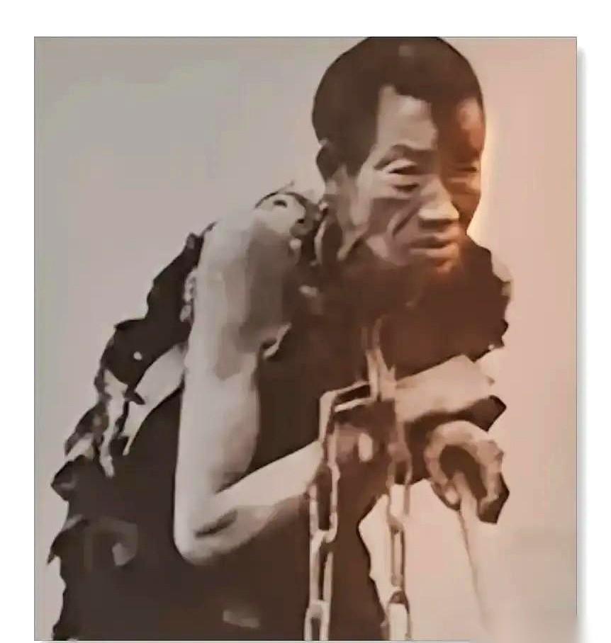 1949年，青海军管会门口的冷风卷着黄沙。一个放羊老汉瘸着右腿，走到岗哨前停下。