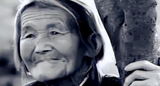 1947年，大别山脚下来了个要饭的老太太，开口就要找一个叫“谱庆”的兵。哨兵愣住