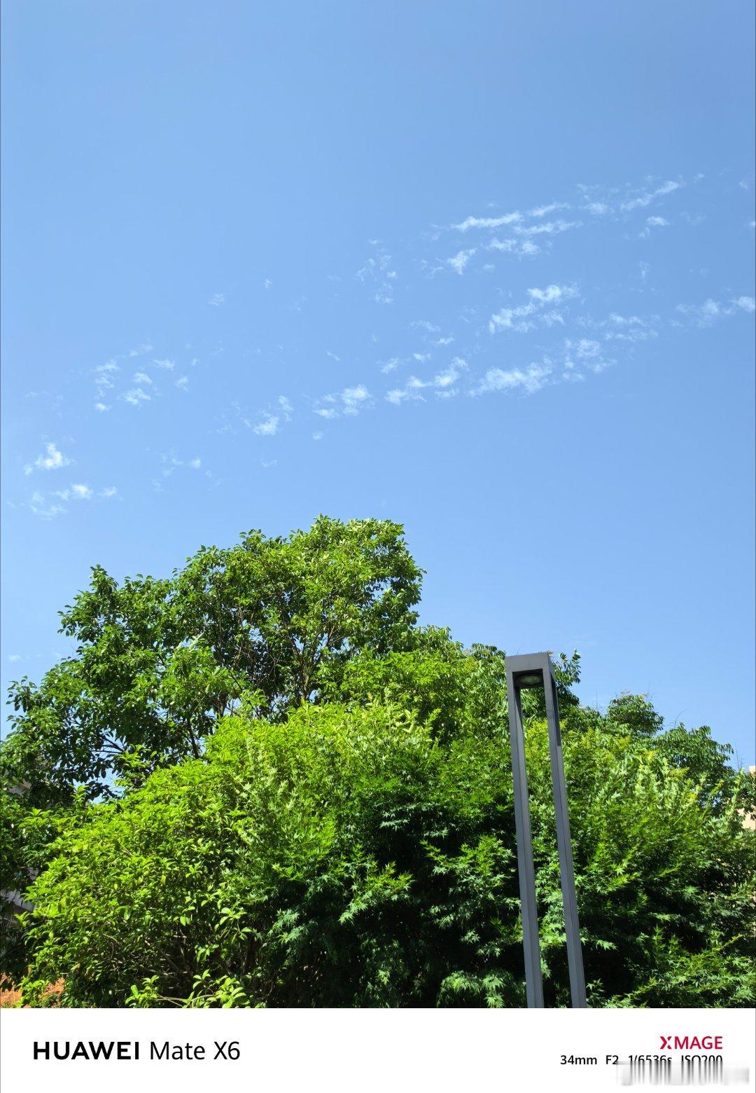 今天天气特别好，原来太阳出来了！​​​