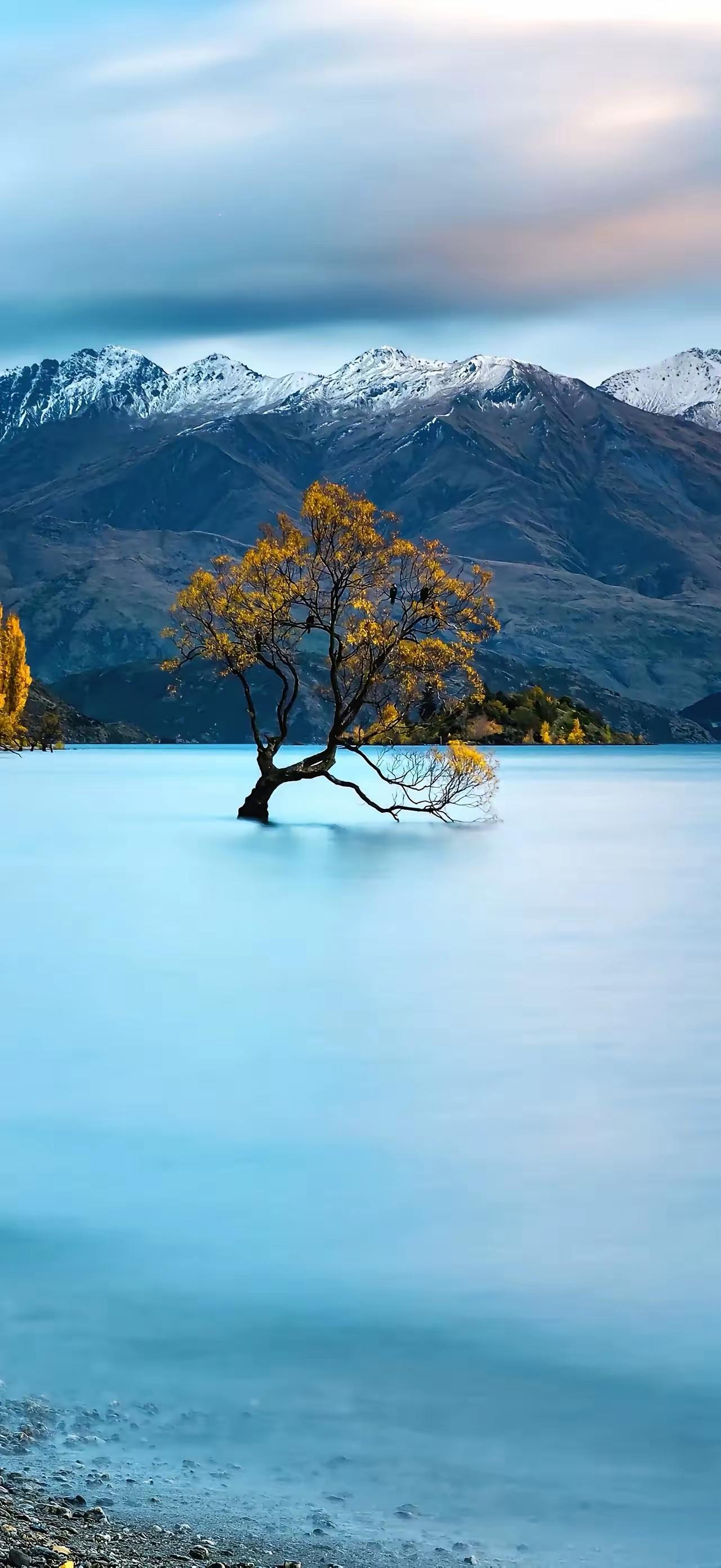 一位养生专家说:“极度自律，每天锻炼的人，不一定能长寿，但是，极度自私，不为任