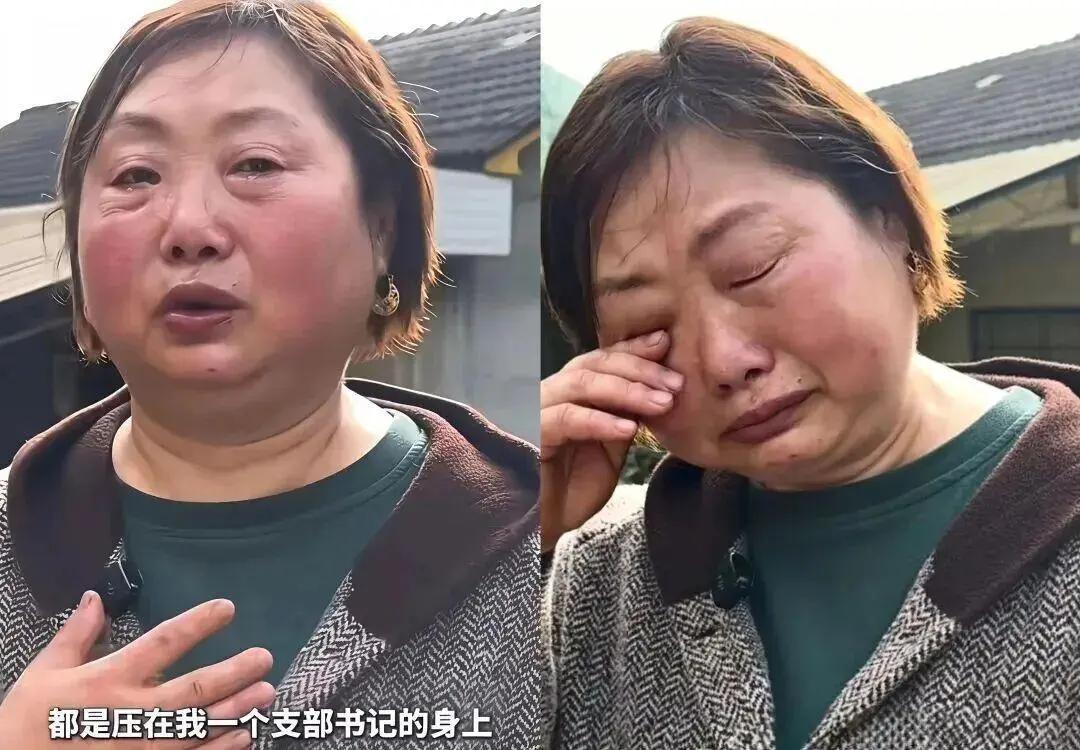 人到了中年再看网暴救灾村支书这事，蕞大的讽刺，是有人拼了命在护你的周全，你