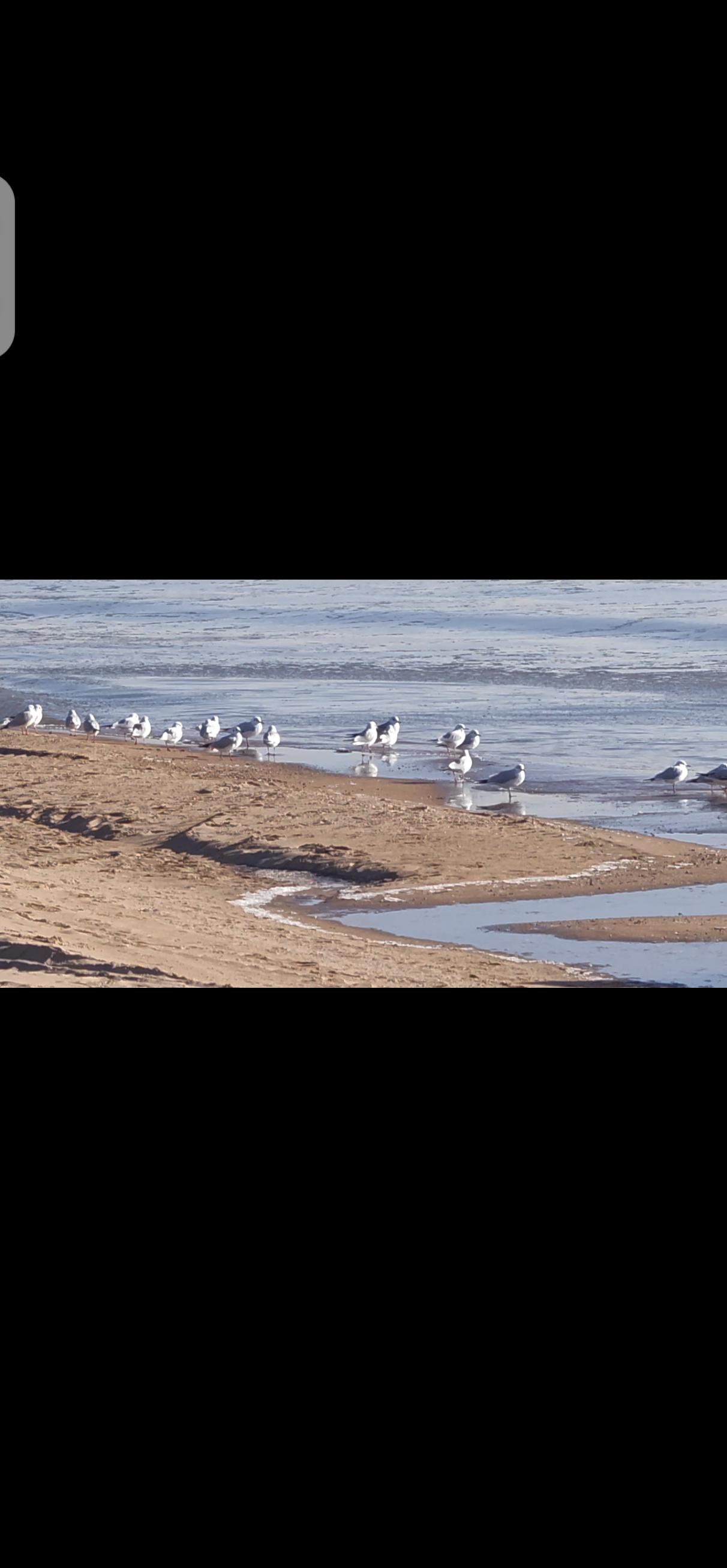 这触及了一个现实而复杂的话题：养儿防老与自己养老之间的平衡。的确，许多人在退