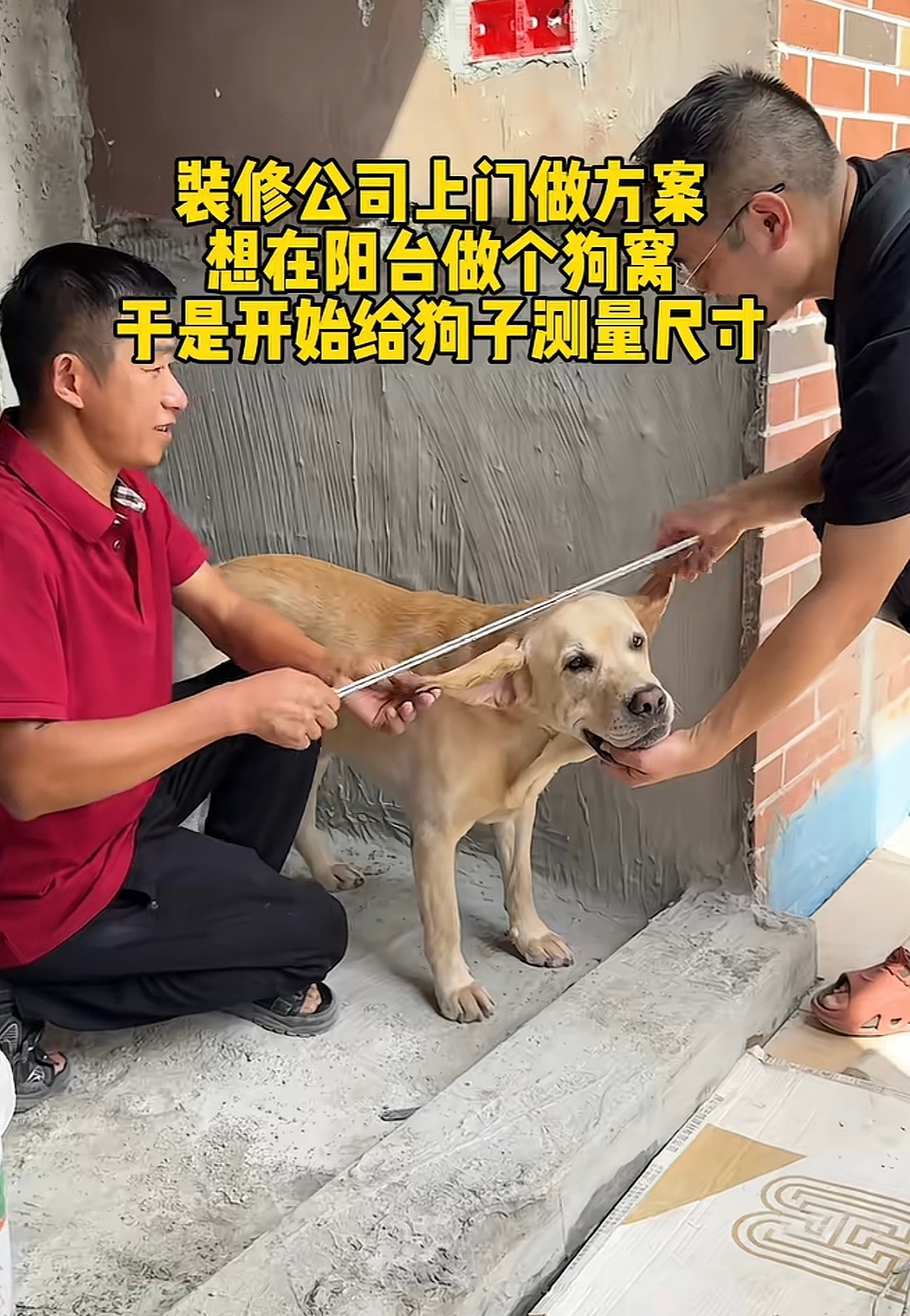 🐶：这就没必要了吧第一次见装修不量房屋尺寸，量业主的哈哈哈哈哈哈哈