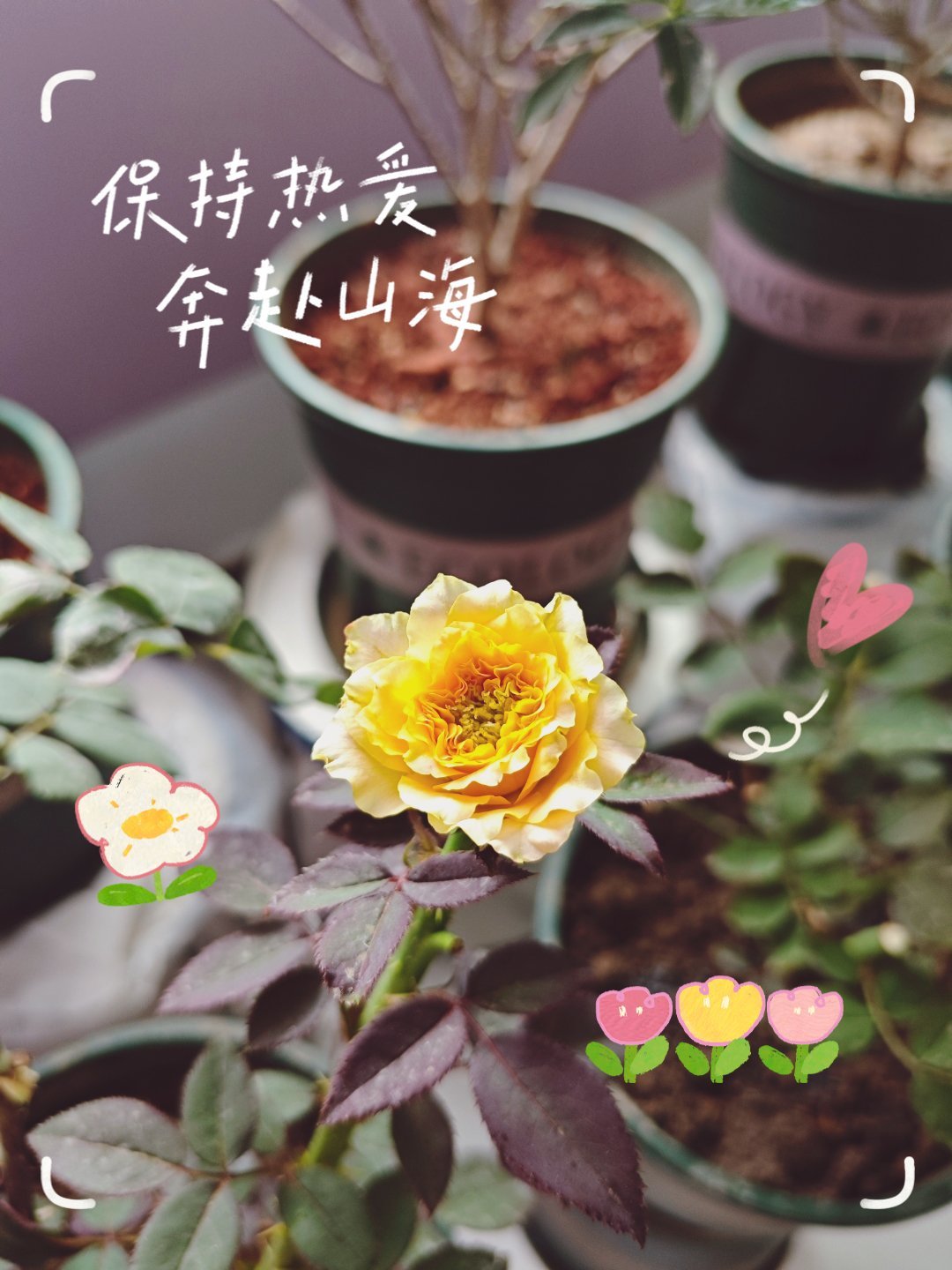 今天不想主动发微博了，你们给我投稿吧！[笑着哭]​​​