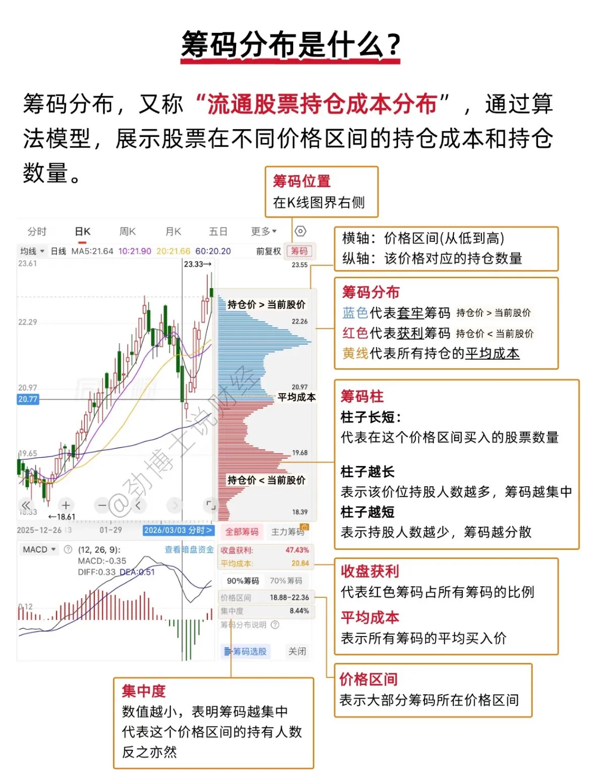 彻底读懂筹码分布：看透主力持仓成本，读懂股价涨跌底层逻辑