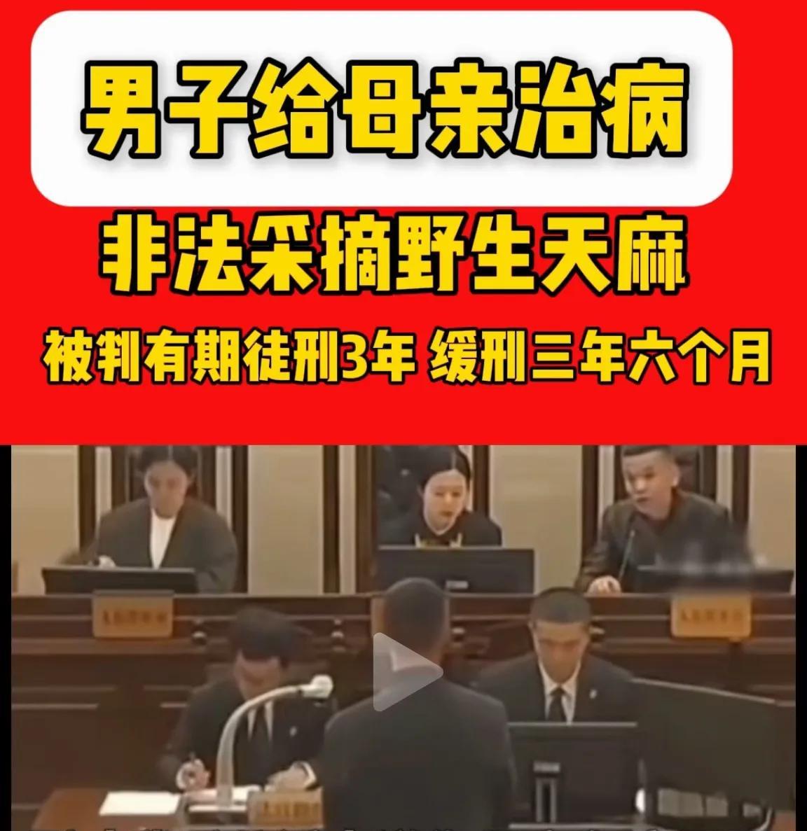 金庸小说严重违法了，很多野生植物都是国家保护植物。金庸小说中有多处非法私自采摘野