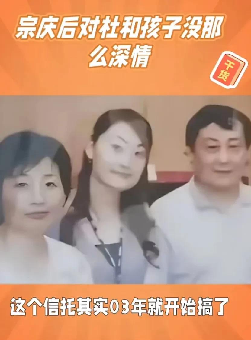 宗老先生其实生前就应该打点身后事。当时杜建英伪装的好，不与宗大小姐争。并且主