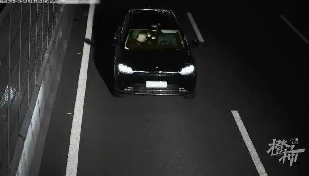 男子醉酒后爬副驾睡觉 靠“智驾”无人驾驶 法院判决