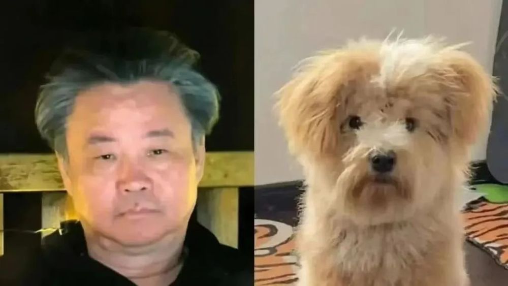 作家余华再回应被网友称作“潦草小狗”: 挺好的