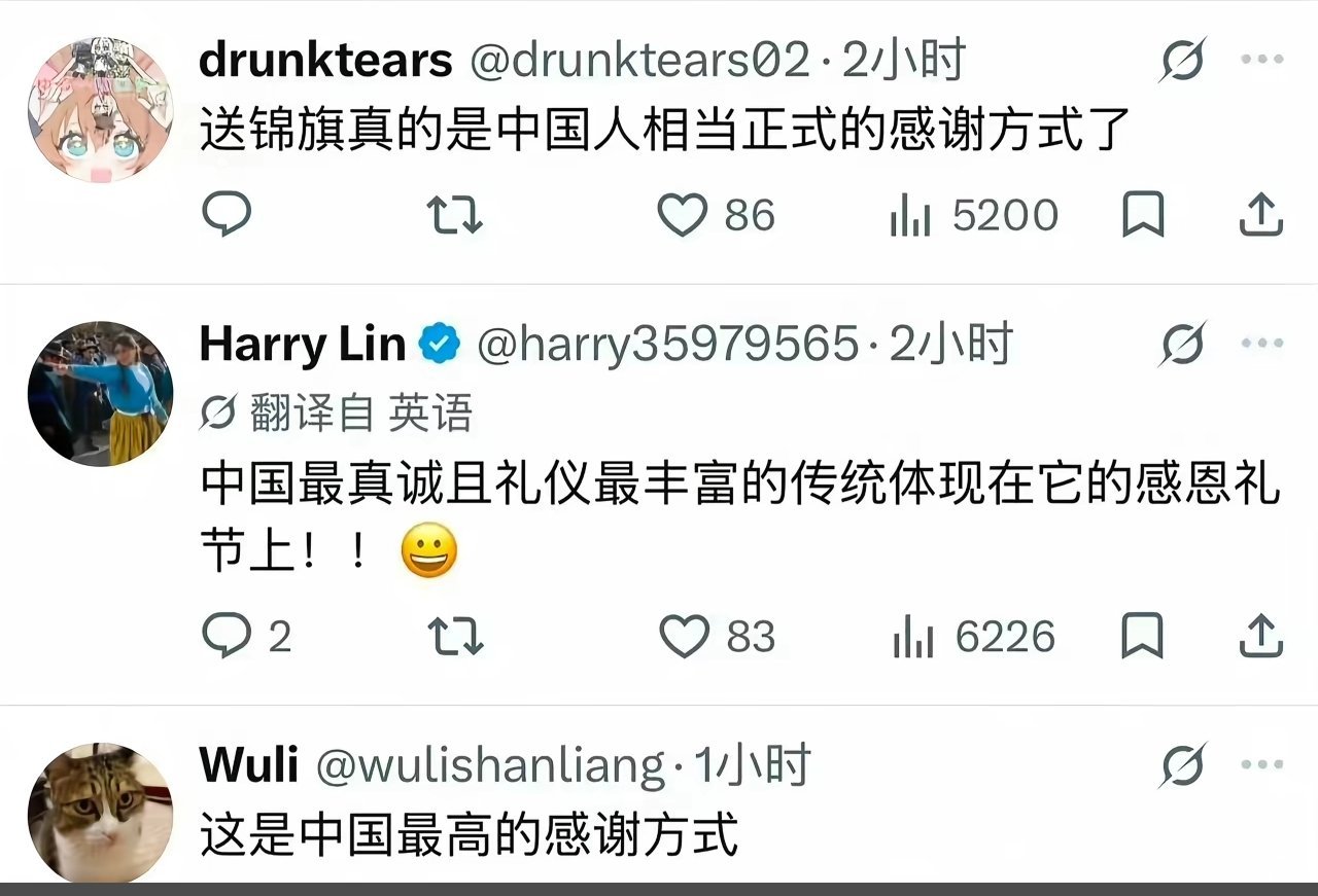 中国留学生真的是把中国特有的锦旗文化推广到全世界了。当然，我主要想说的这个锦旗文