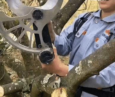 这种剪枝工具做的太巧妙了，以前真没有见过这个东西，用起来比锯子方便多了，而且工作