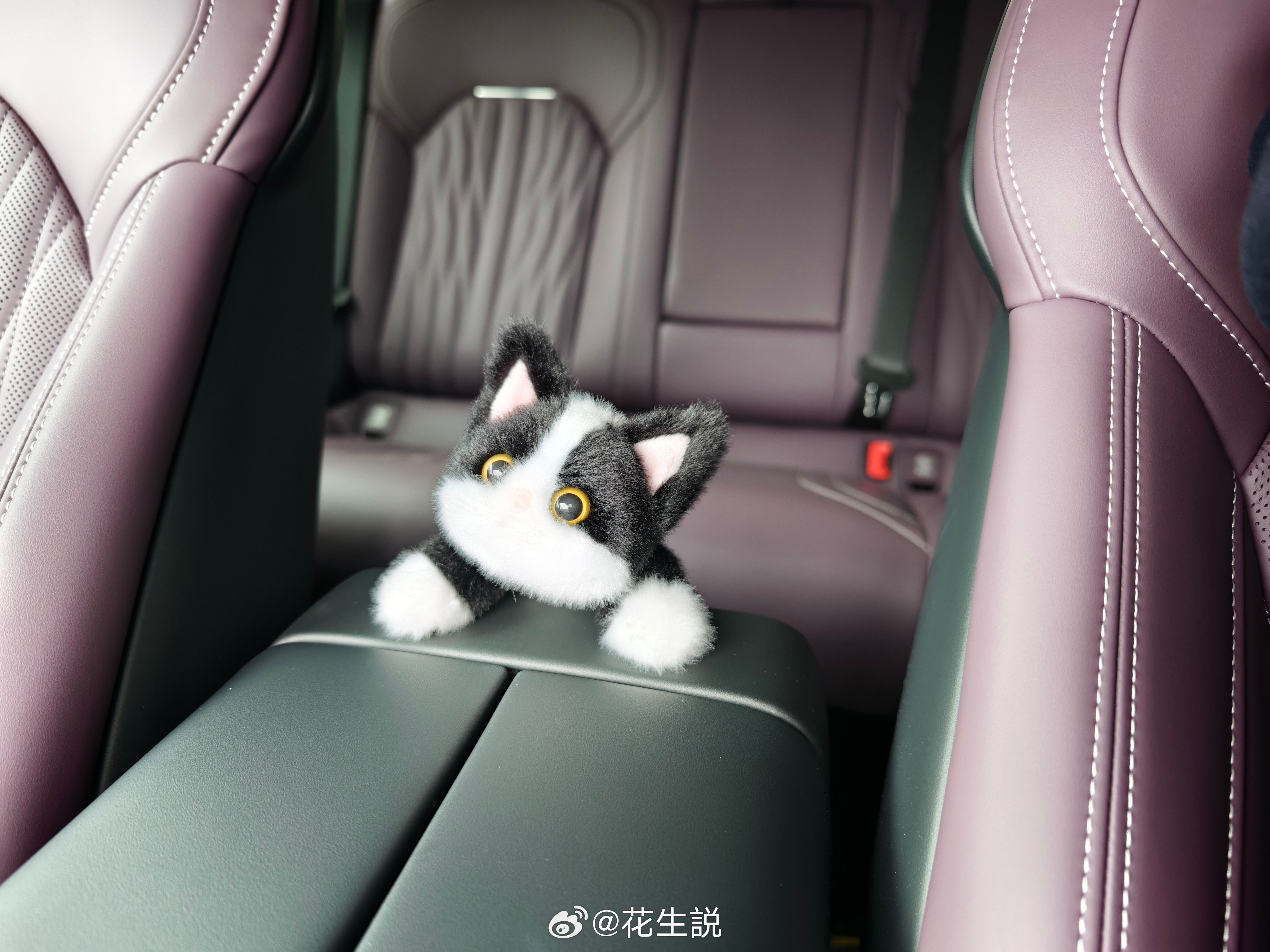 新SU7上新增的萌宠大家觉得怎么样，趴在这是不是还挺可爱的感觉要是能跟其他品牌I