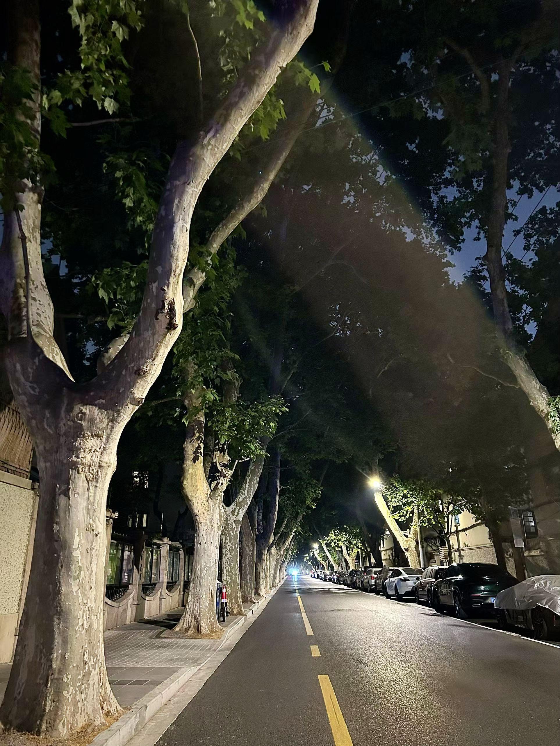 《沧海月明珠有泪》白小侃。谭稷明这辈子没栽过跟头，直到遇见项林珠。她是...
