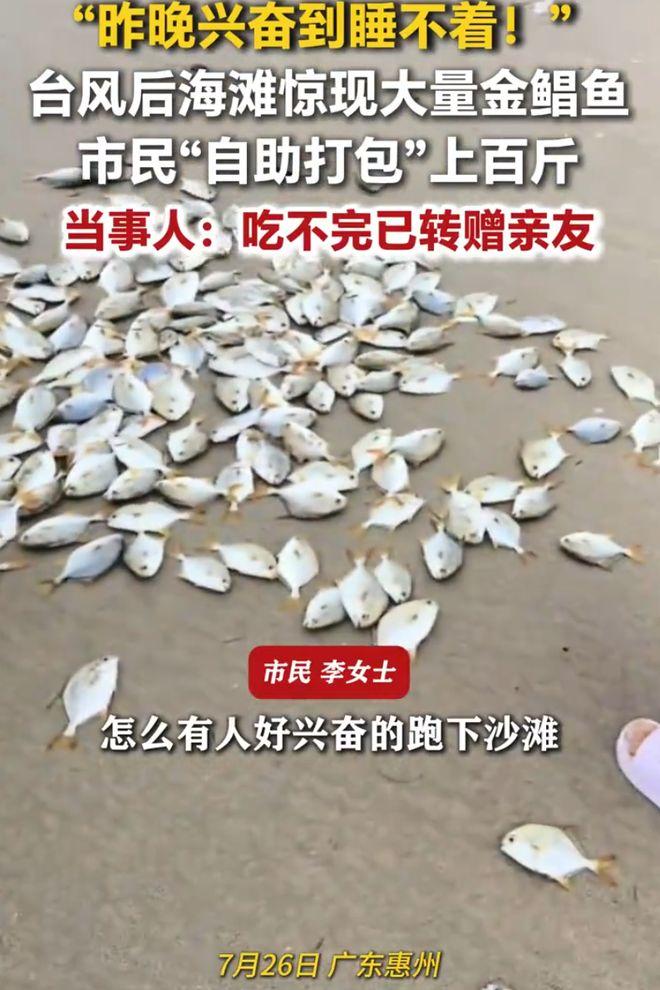广东惠州，一女子台风过后开车路过海边，远远就看到一群人急匆匆往沙滩冲，神情格外兴