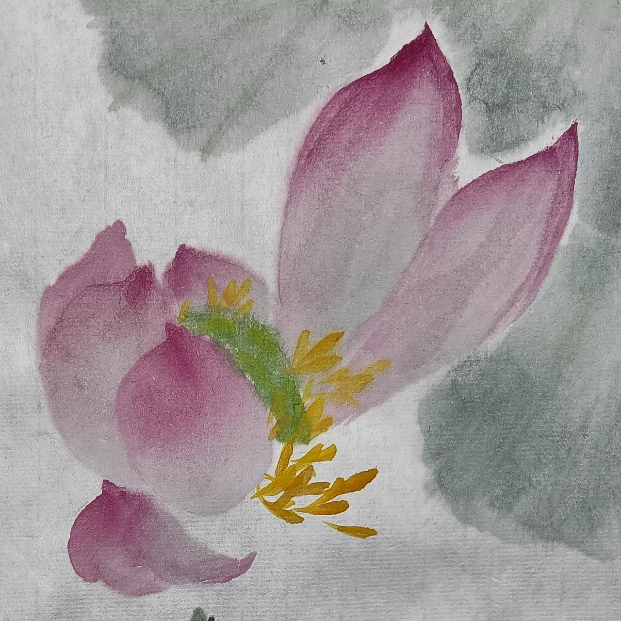 小写意荷花
