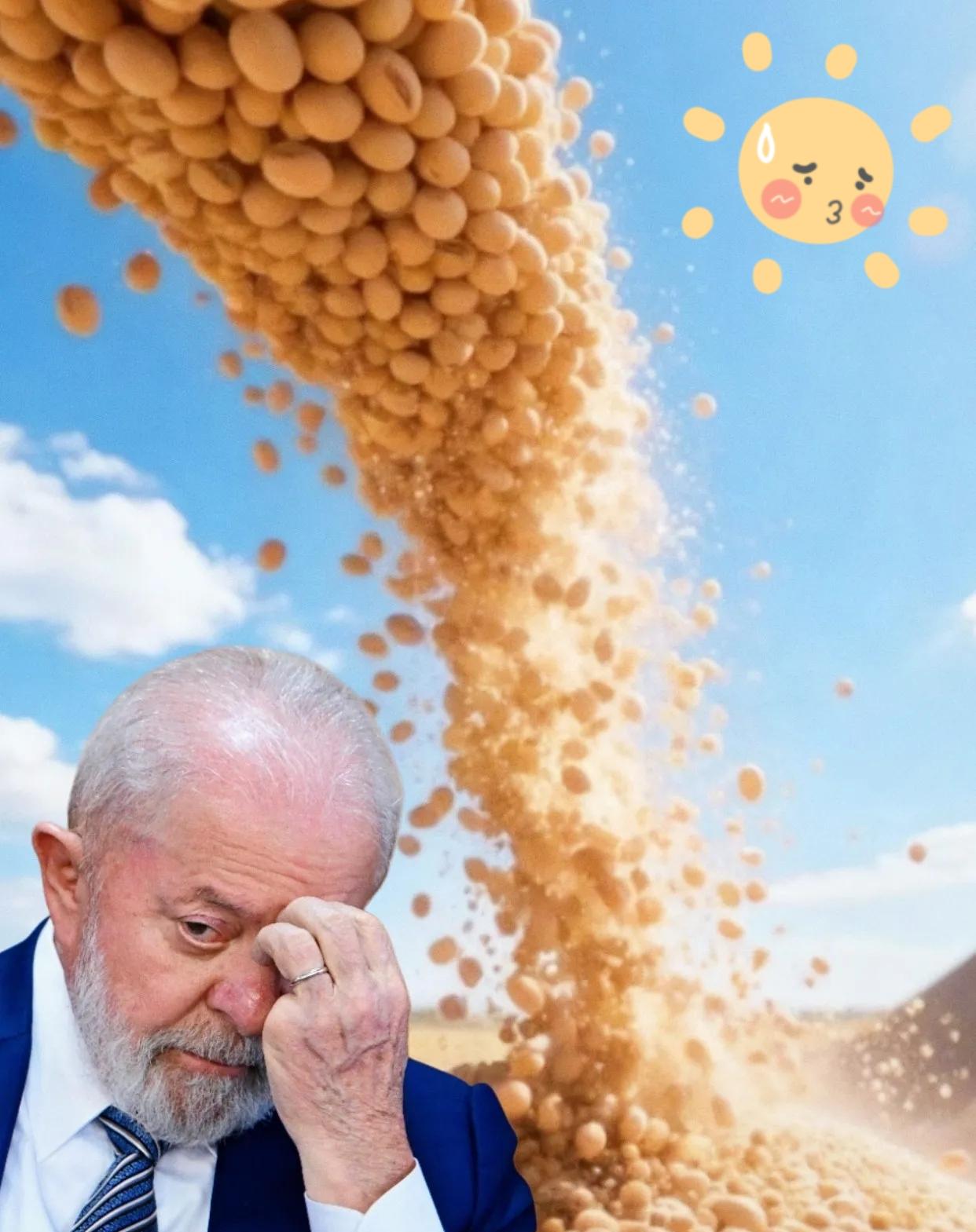 一夜之间,巴西沉默了巴西大豆价格攀升至650美元/吨,这让巴西大豆商欣喜不已