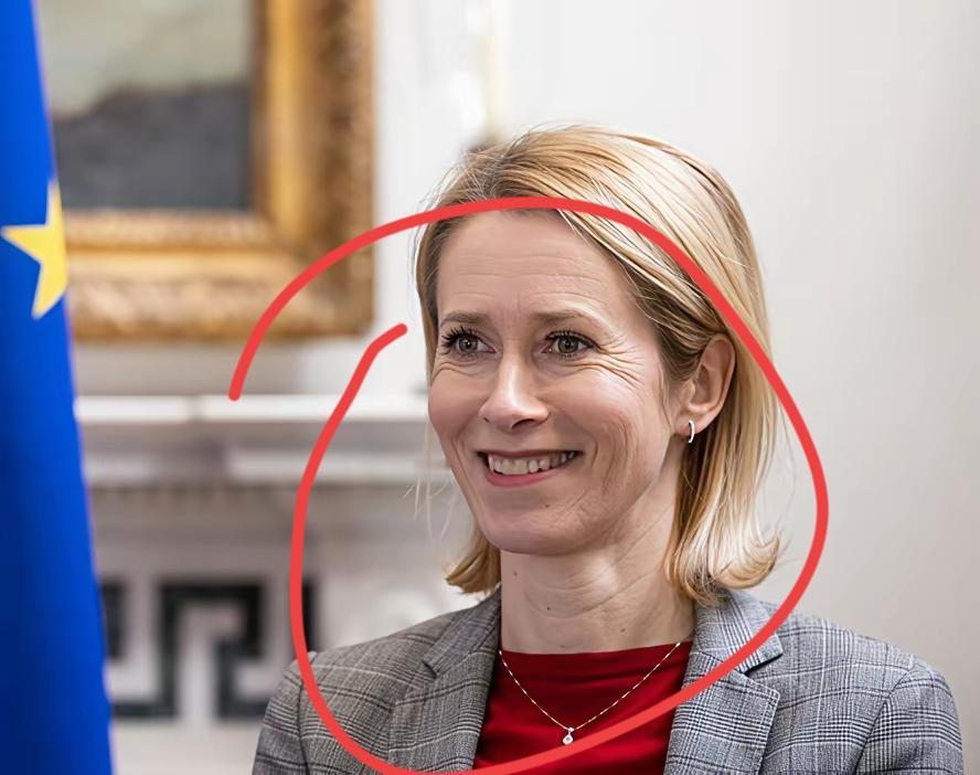 欧盟外长卡拉斯活成了当今世界最