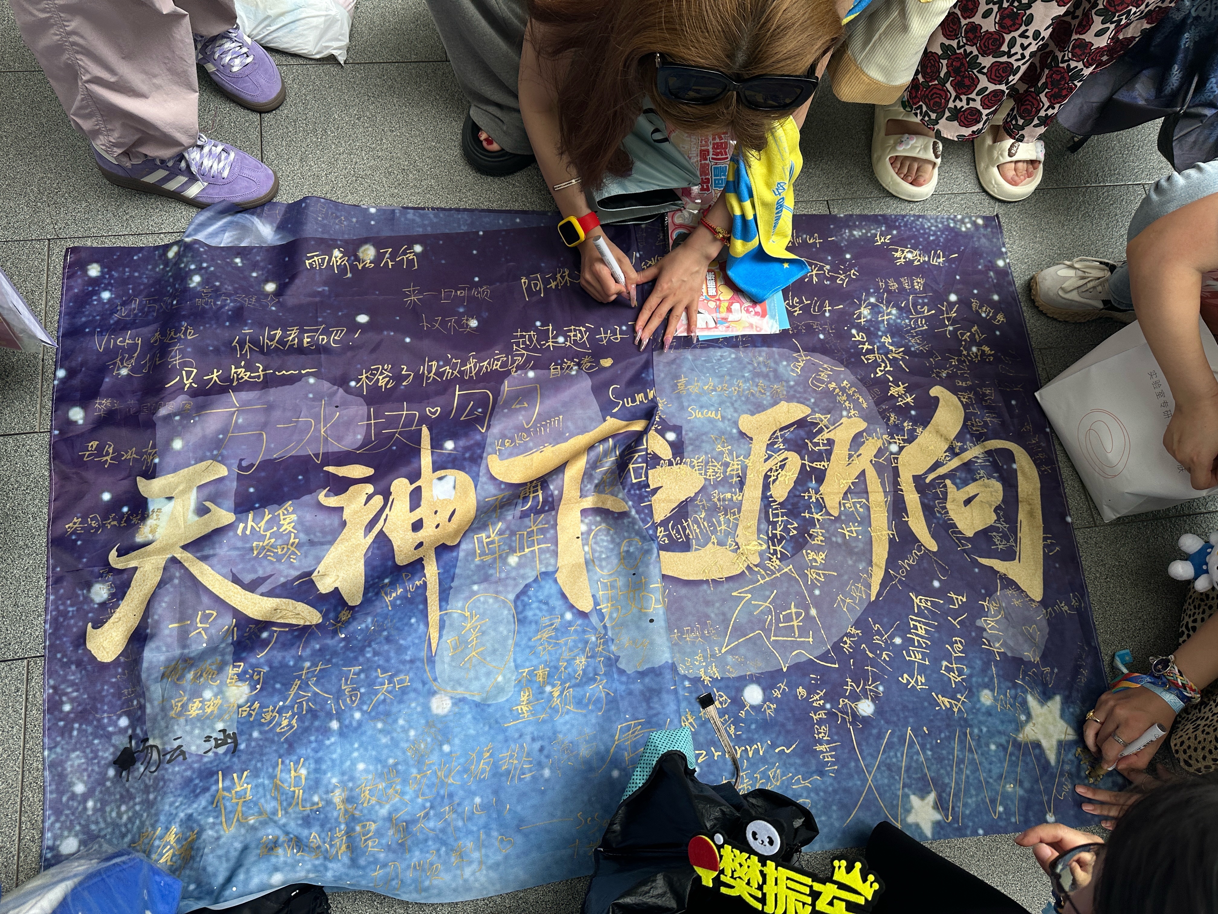 繁星们和樊振东一起“天神下樊，星之所向”🤛🤛永远追随​​​