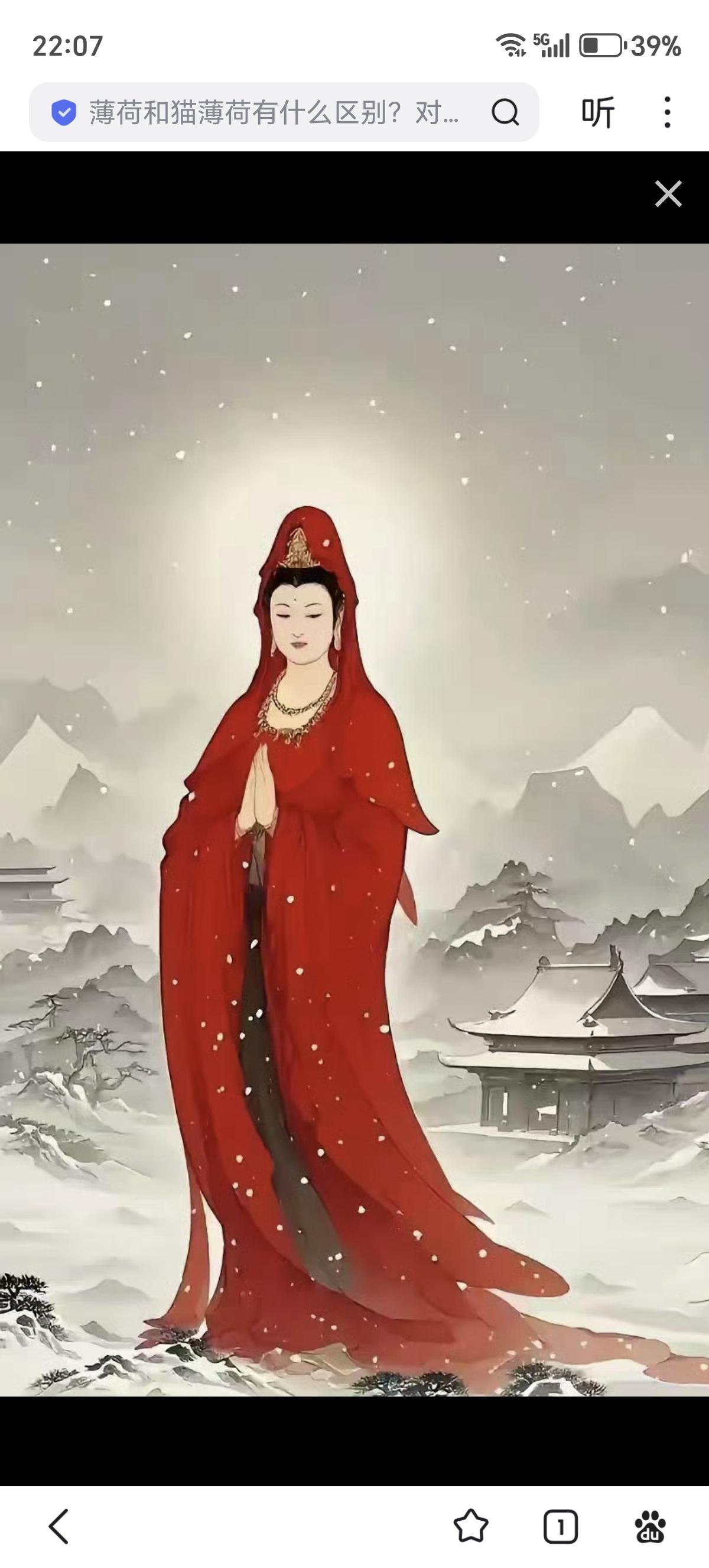 刷到观音菩萨别划走！赶紧许个愿！菩萨超灵验，许啥都能成真！在评论区喊句“心想