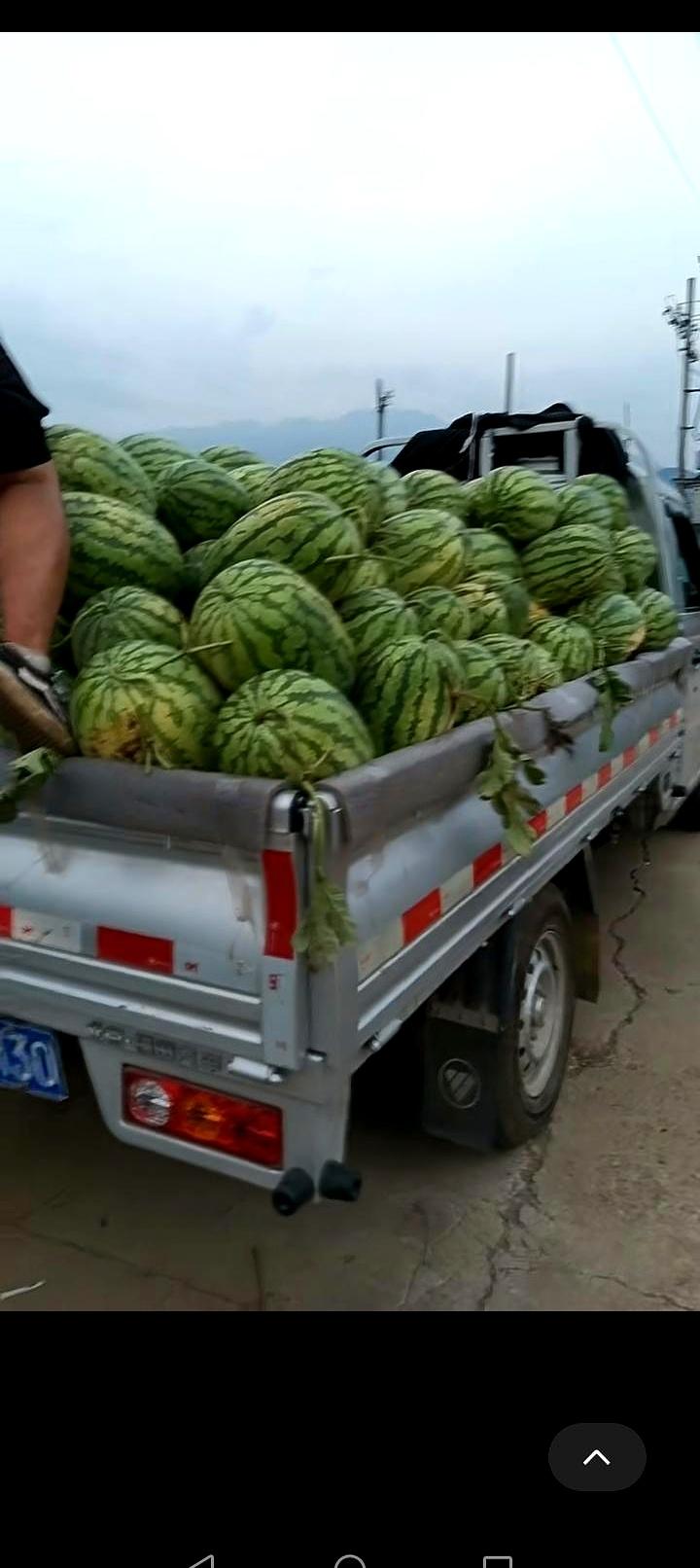 赶集时路过一辆小三轮，喇叭震天：西瓜一块钱一个。人群刚掏手机，他又加一句：不送