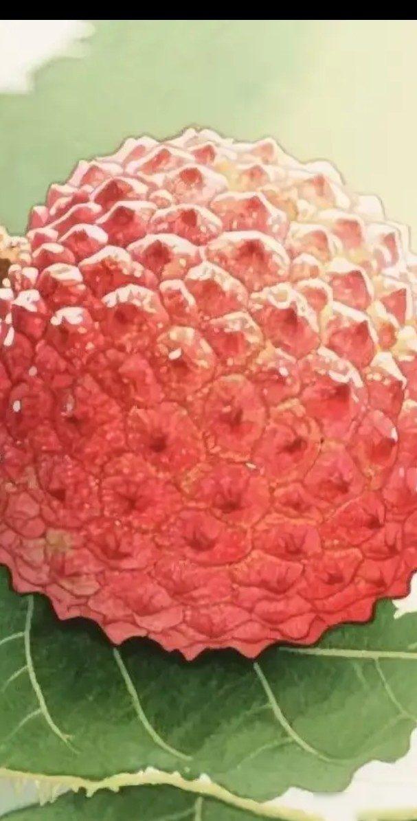 因为嘴馋，害了自己。荔枝致死的悲剧，甜蜜诱惑下的生命代价，一场本可避免的意外