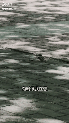 有时候我在想人活着还不如这只鸟没有压力没有烦恼……[哭哭]