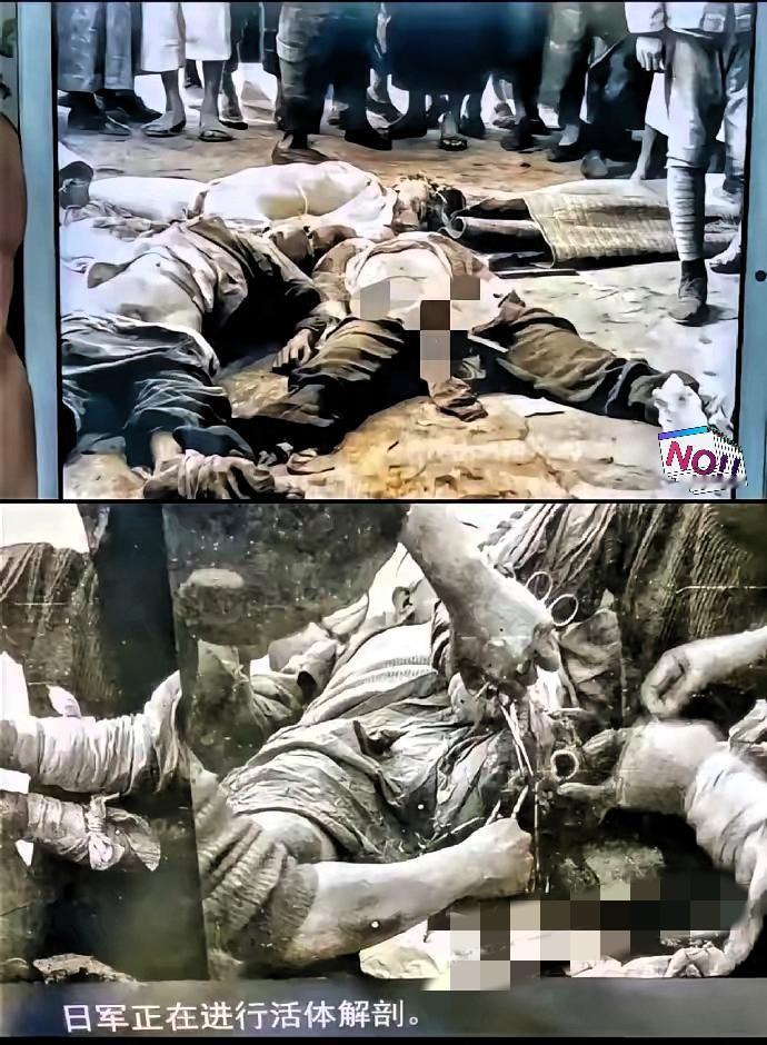 看到日寇把几岁女童绑在慰安椅上施暴的史料，我攥着手机的手都在抖，胸口像堵着烧红的