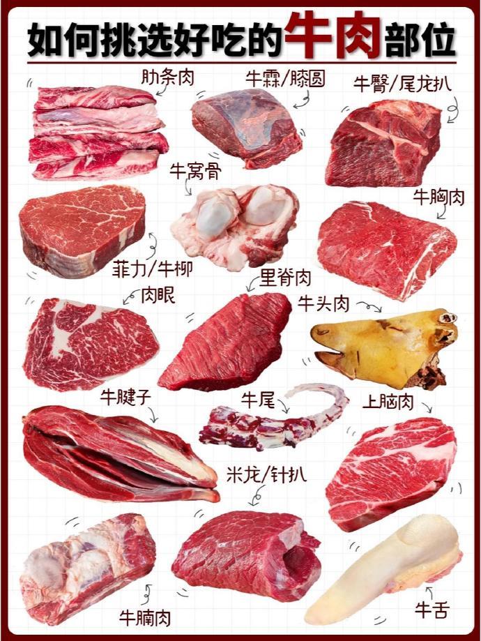 涨知识🥩快速学会如何挑选好吃的牛肉❗️