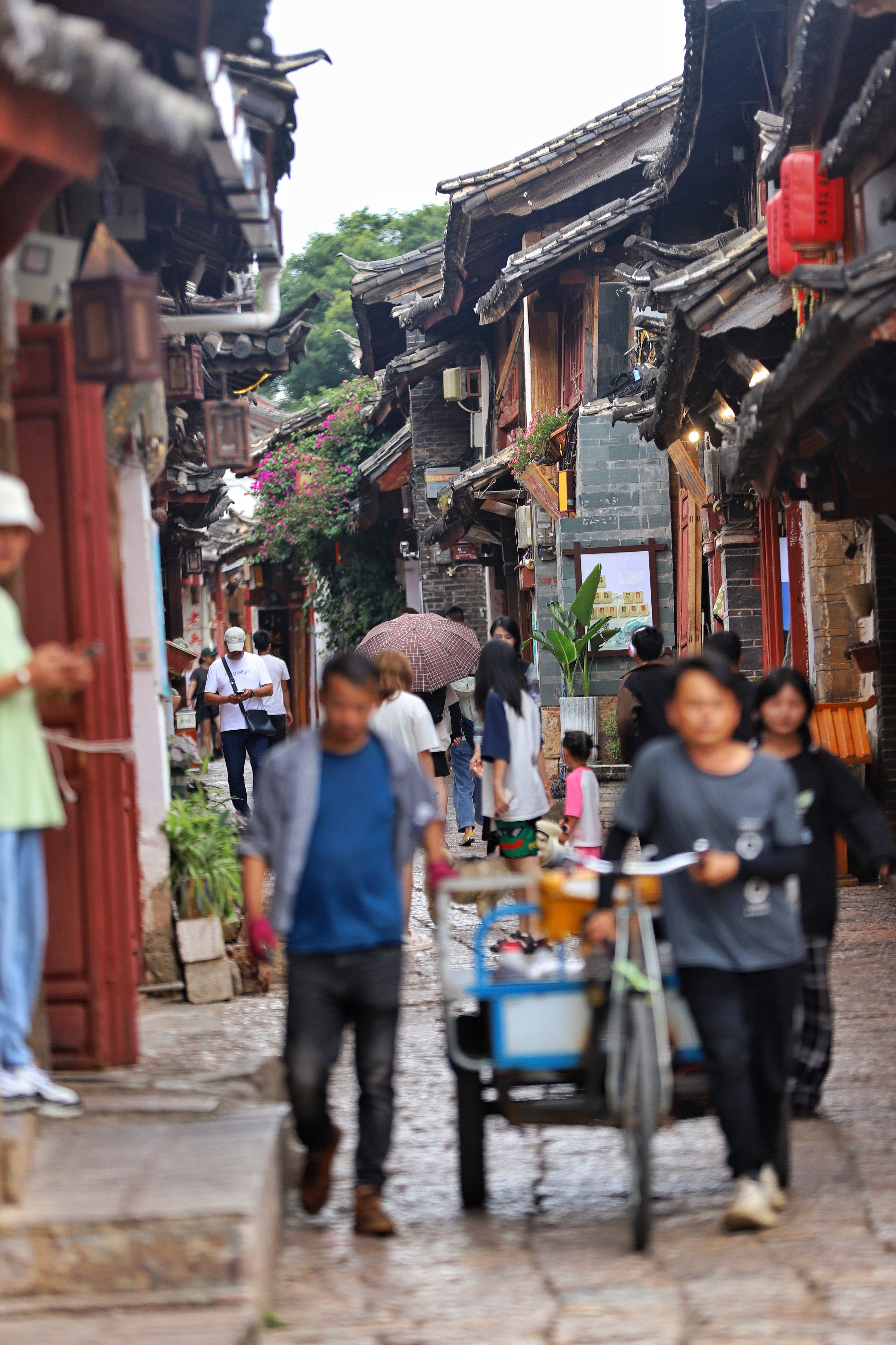 来云南旅游不要跟团，特别是低价团，如果你没选对渠道，高价团一样会坑你。旅行社会告