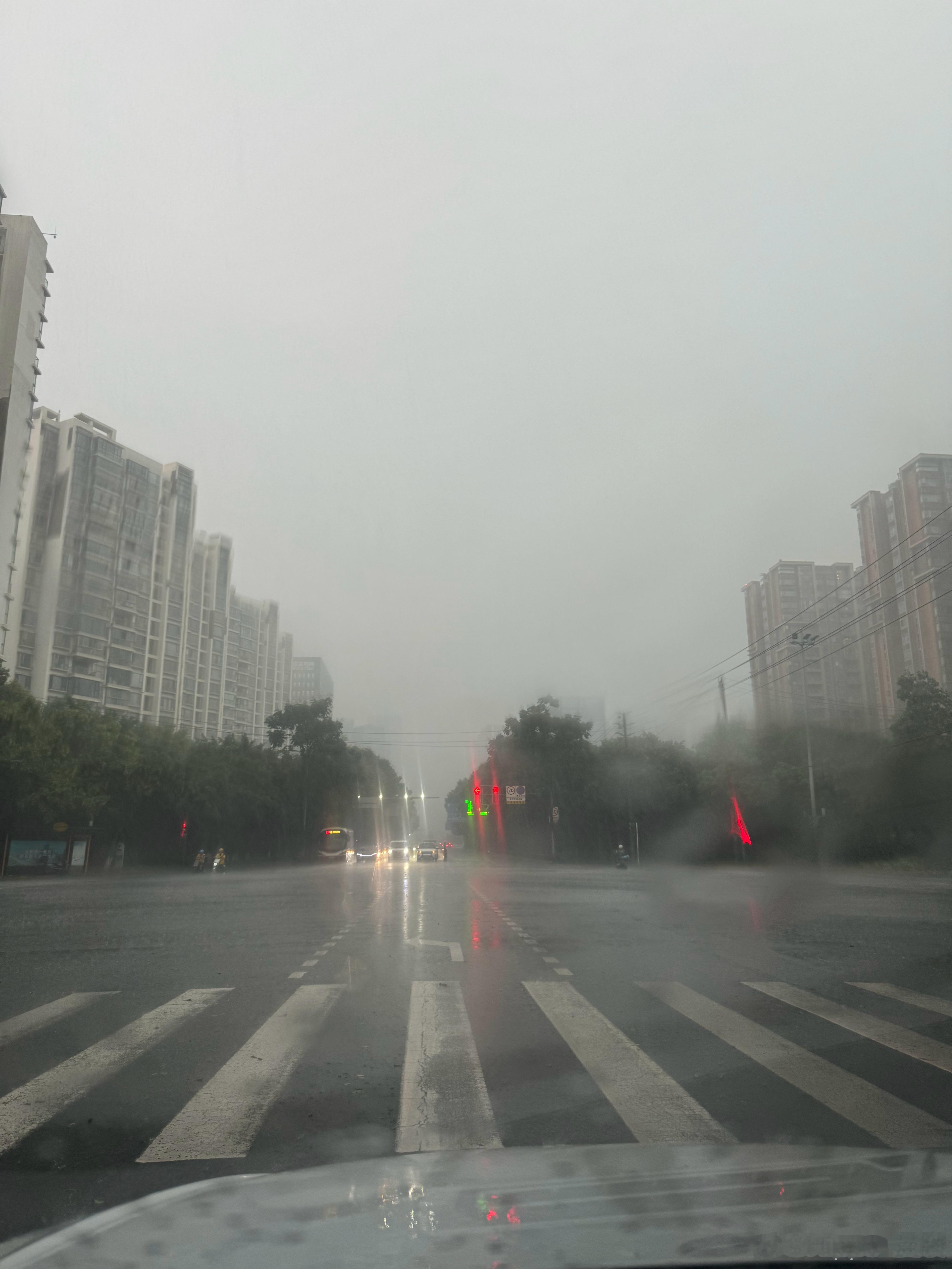 我都不知道是前天淋雨导致的发烧还是病毒。感觉就像是上次喝醉酒一样，痛，起不来，就