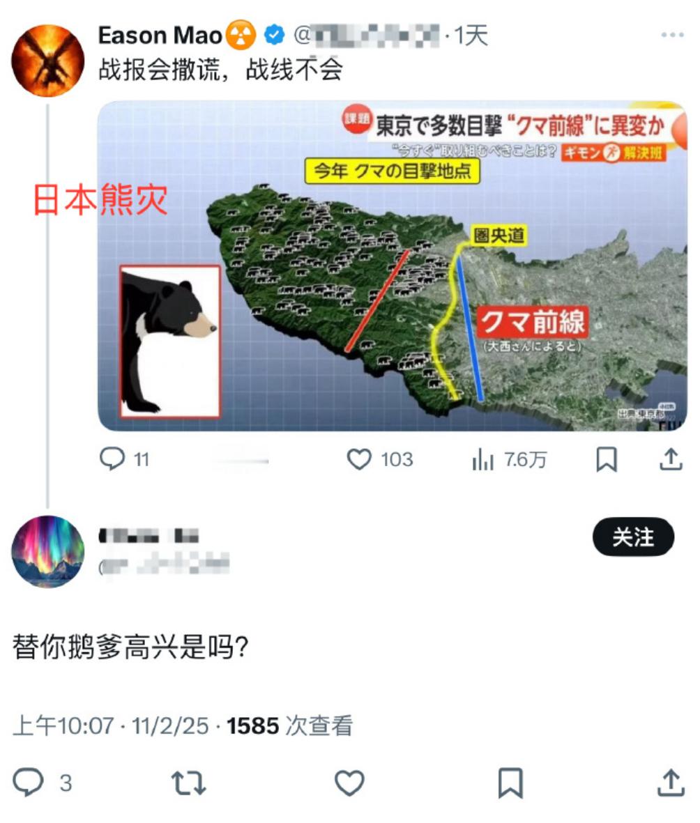 🔻毛熊也是熊。热点现场海外新鲜事​​​