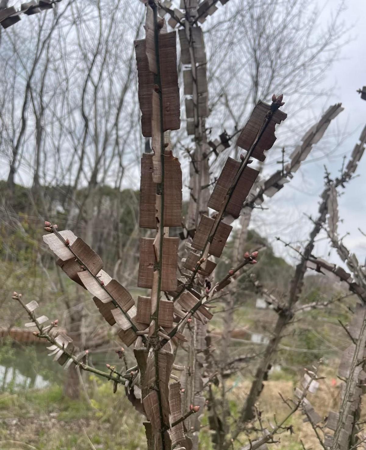医院一名孕妇生了个男孩，婴儿没呼吸，拍来拍去不哭，主产医师都要放弃了，实习的女护
