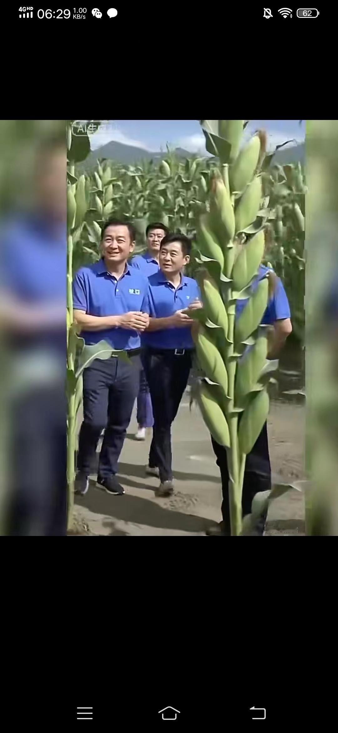 感谢专家培育高产玉米这些专家农民兄弟就喜欢了！我就担心这苞谷是真的还是假的？