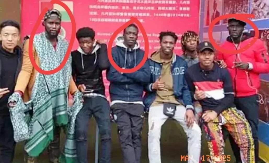 留学生罢课就集体遣返！留学，本是奔赴知识殿堂，汲取学识、开拓眼界，可部分留学生
