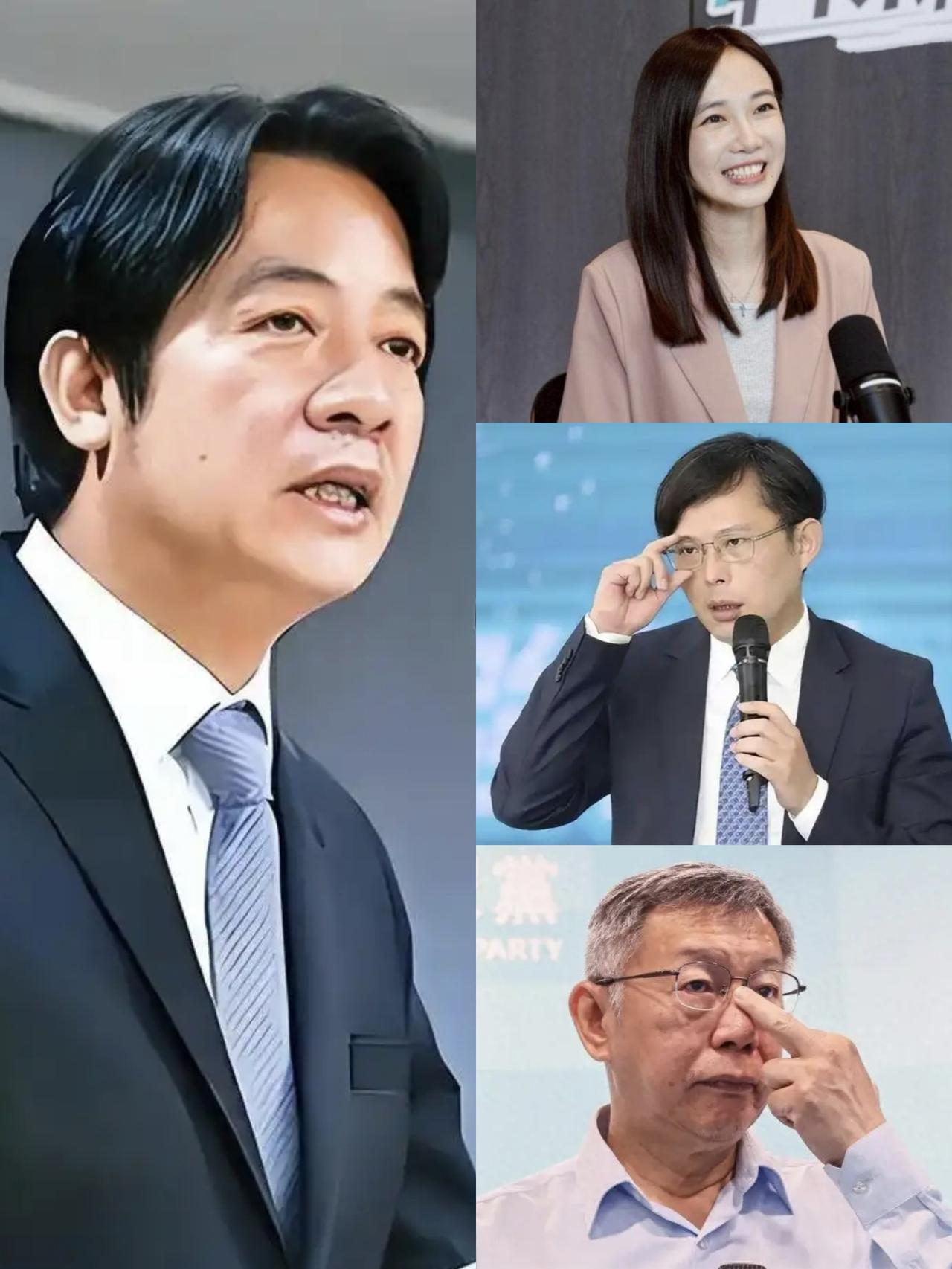 杨宝桢退党，别盯着黄国昌柯文哲了——赖清德正在笑看这一切民众党前发言人杨宝桢