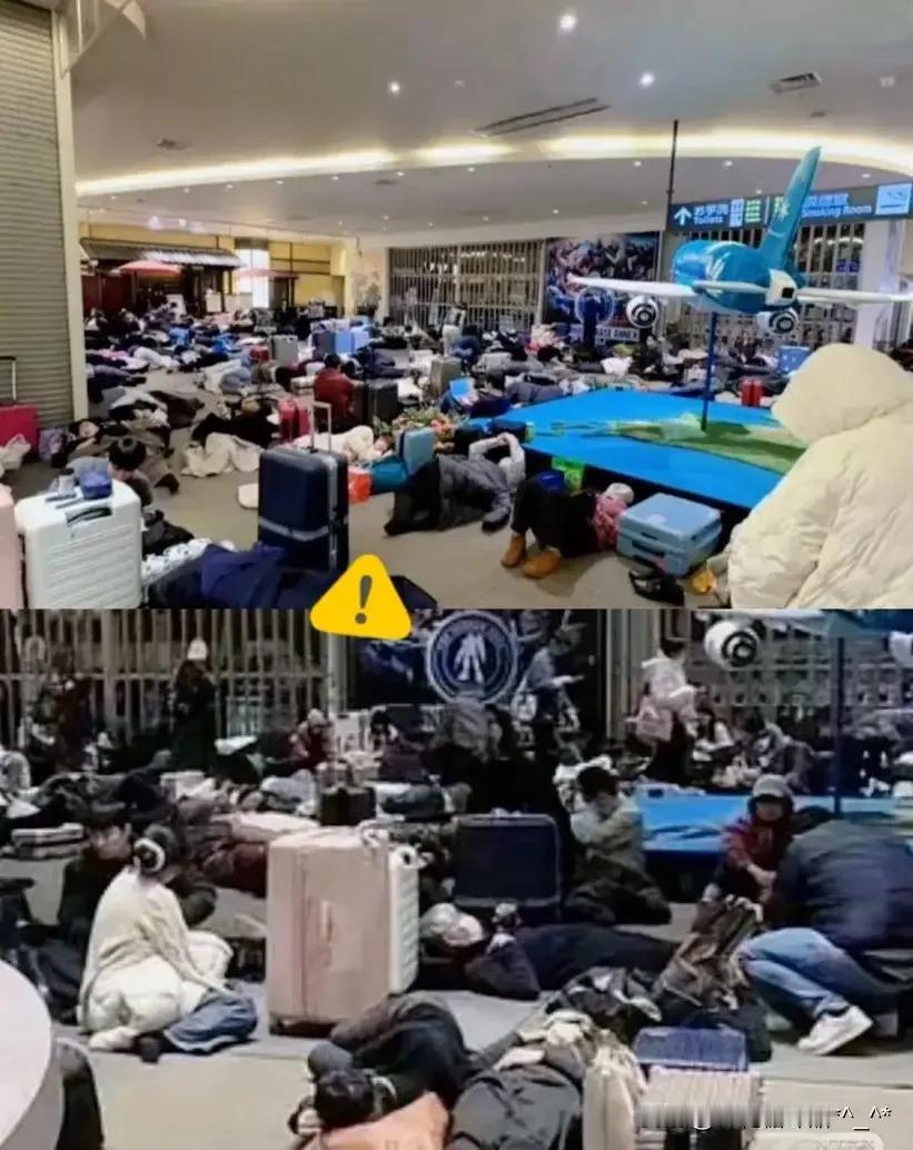 北海道那一帮子人还在那喊冤呢，张嘴就是“求包机”。甚至怀疑这帮人是不是平日里霸道