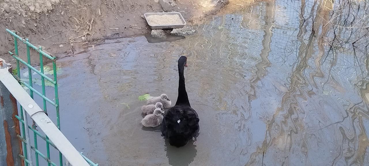 公园美丽景随拍