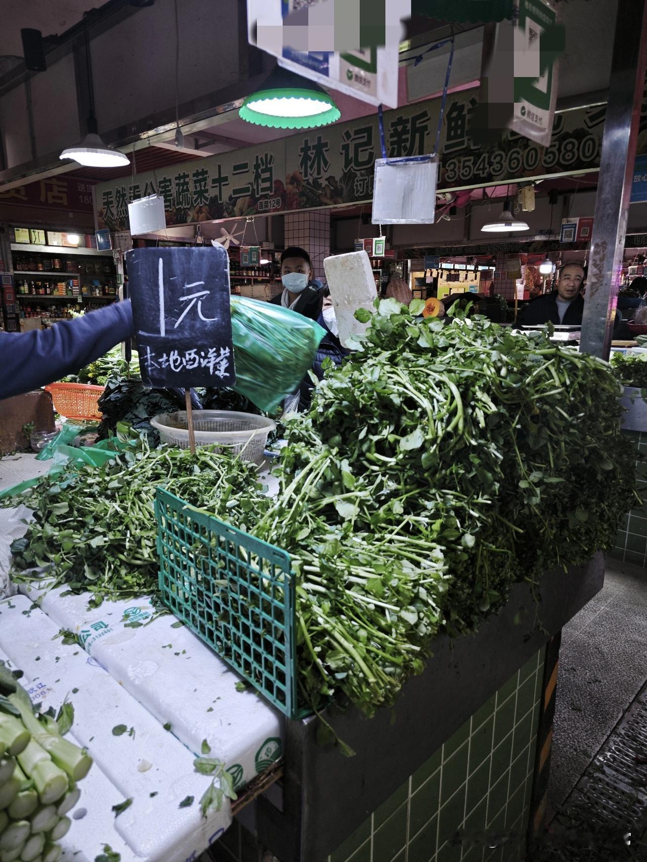 佛山最便宜的菜市场！西洋菜1元1斤，摊主直言不赚钱？逛佛山这家菜市场直接